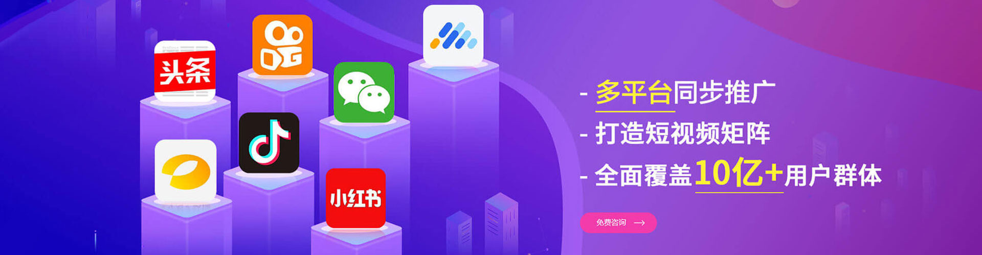 杨梅sem怎么做